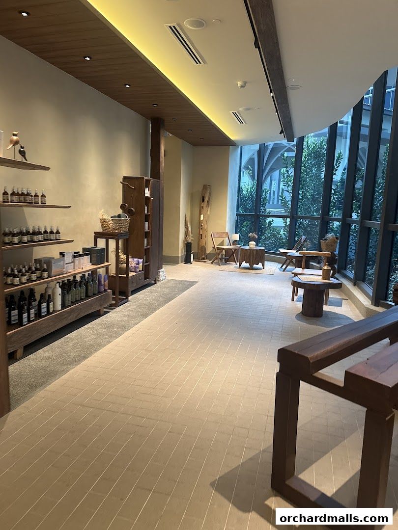 Head Spa by GOYO  Korean Head Spa  Massage  Facial Services  Mandarin Gallery