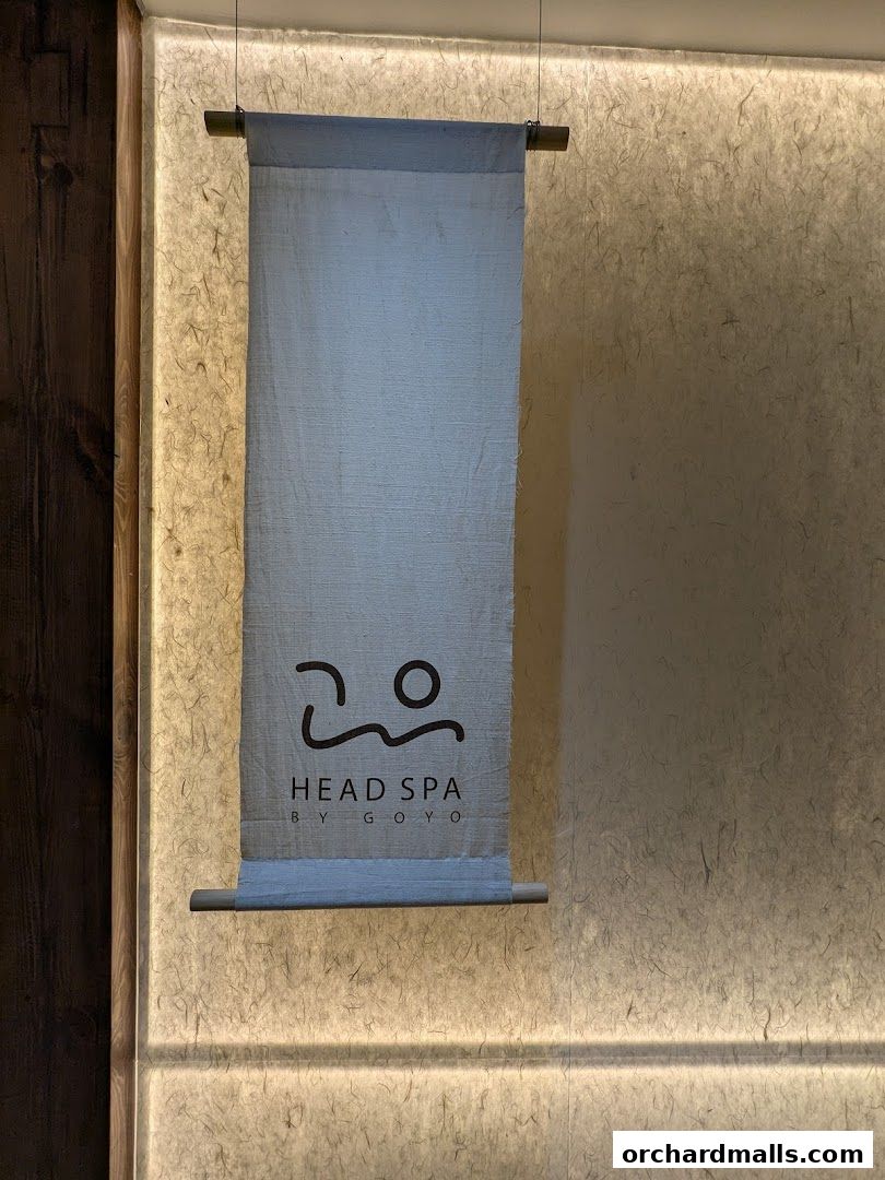 Head Spa by GOYO  Korean Head Spa  Massage  Facial Services  Mandarin Gallery