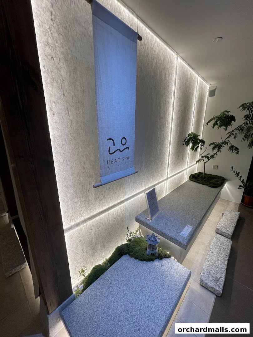 Head Spa by GOYO  Korean Head Spa  Massage  Facial Services  Mandarin Gallery