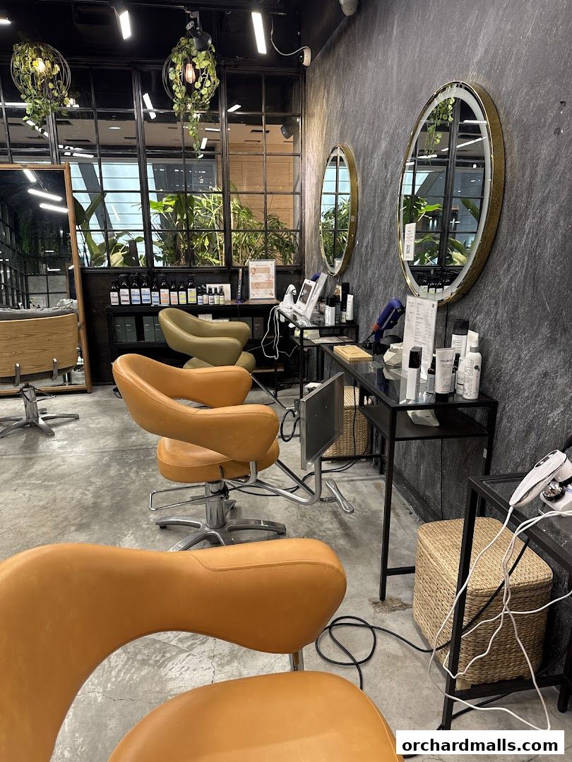 Head Spa by GOYO  Korean Head Spa  Massage  Facial Services  Mandarin Gallery