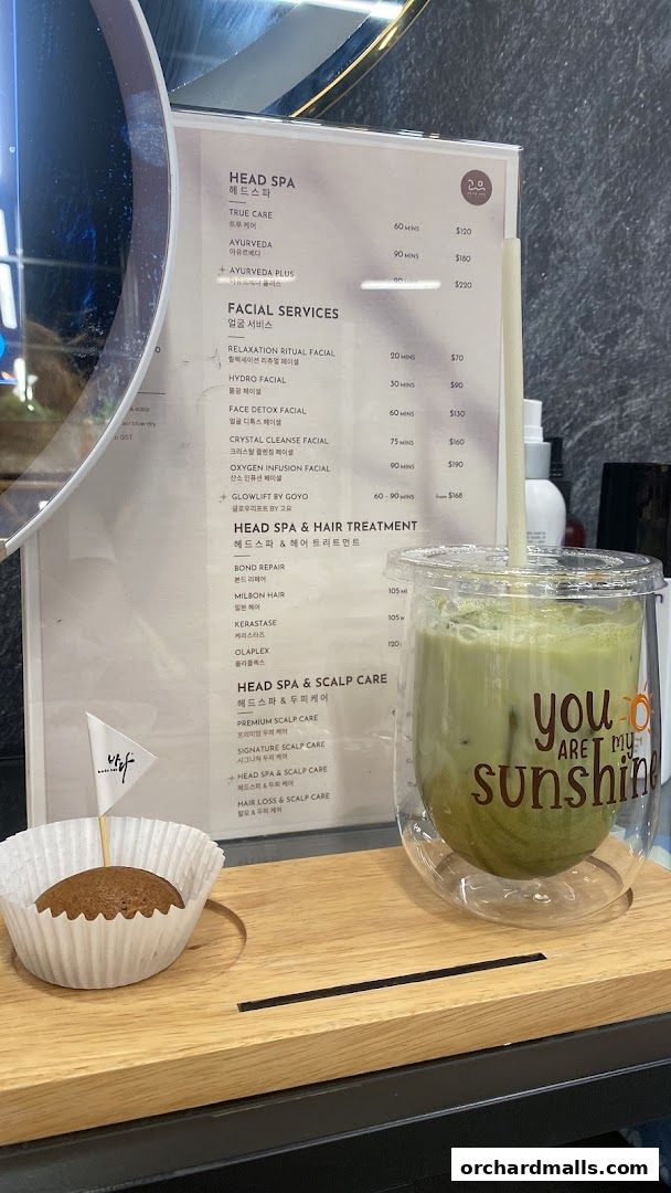 Menu page for Head Spa by GOYO  Korean Head Spa  Massage  Facial Services  Mandarin Gallery