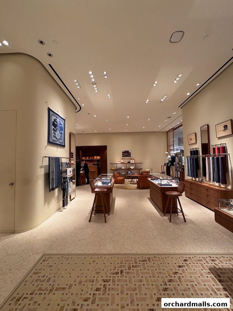Interior view of a luxurious Hermès store showcasing scarves, accessories, and display cases.