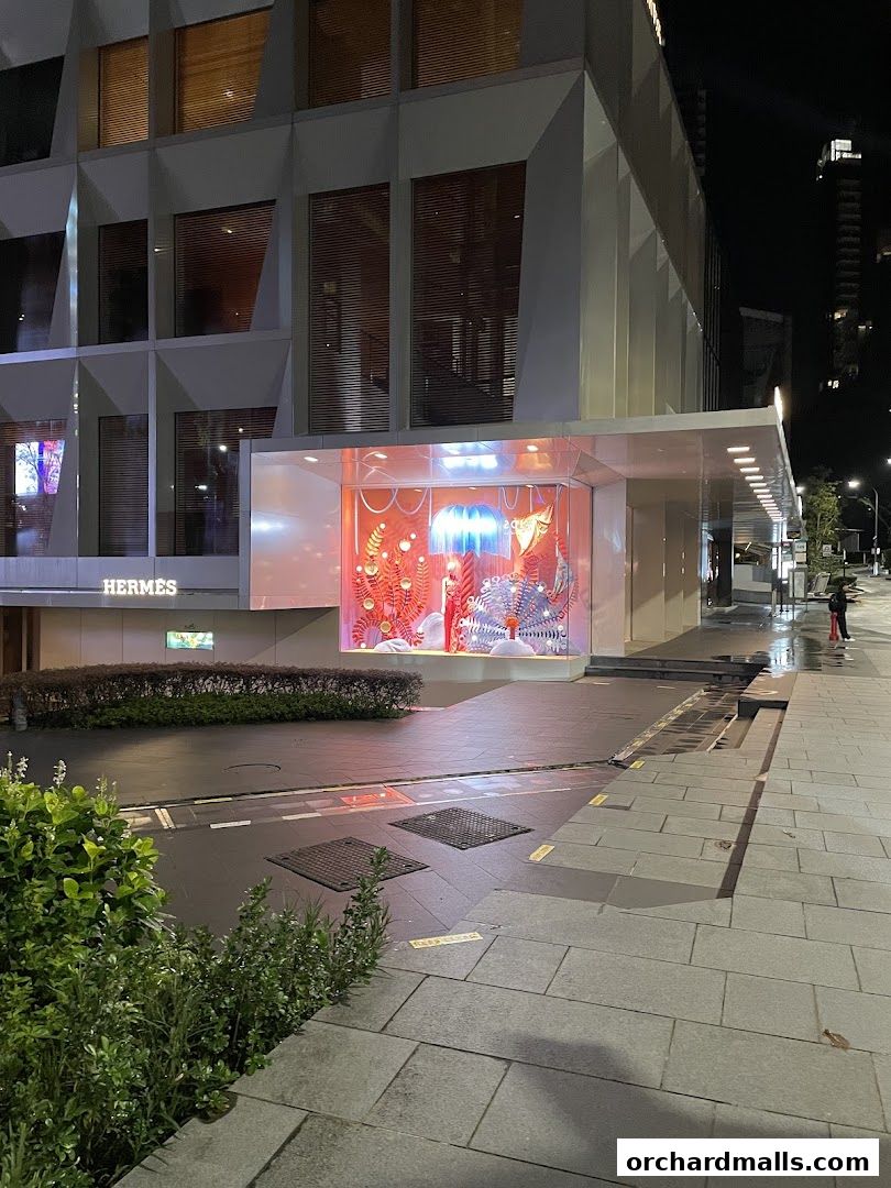 The Hermès Singapore Takashimaya store features a brightly lit, artistic window display at night.