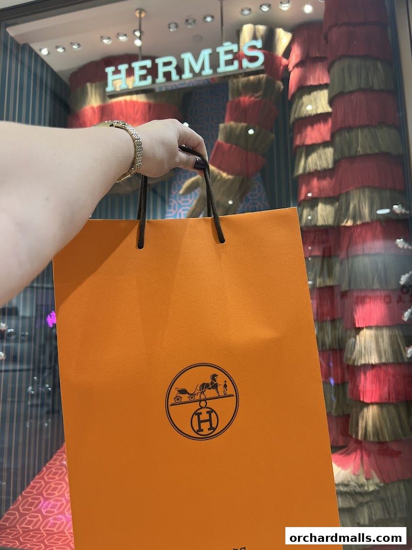 A hand holds an orange Hermès shopping bag in front of the store's window display.