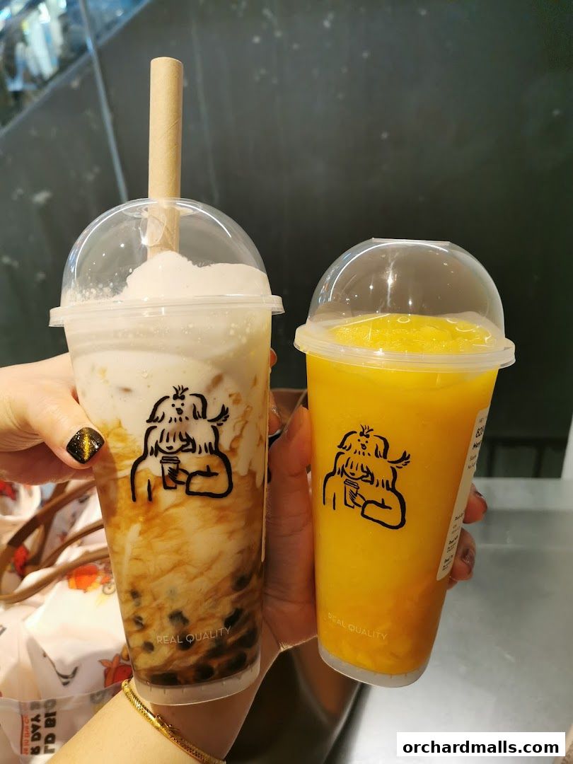 Two refreshing drinks, one with brown sugar boba and cream, the other a vibrant mango smoothie.