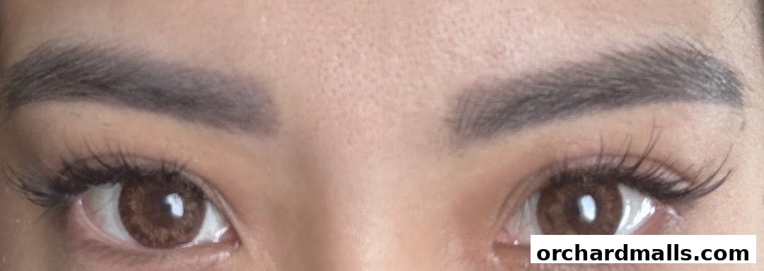 HIEN Lash  Brow