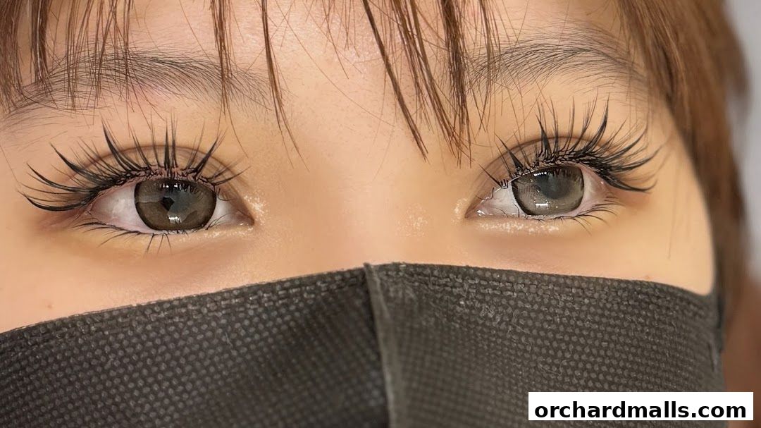 HIEN Lash  Brow