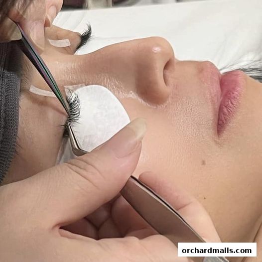 HighBrow Orchard Gateway