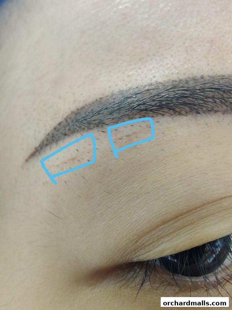 HighBrow Orchard Gateway