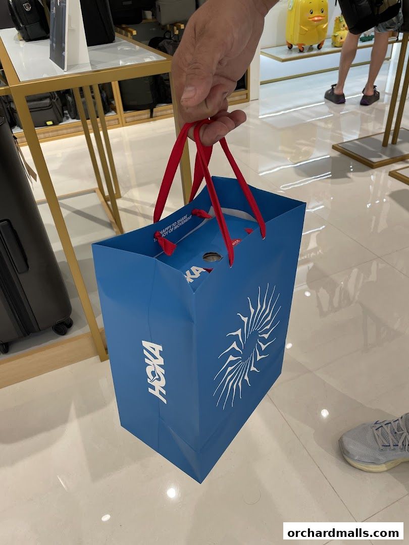 A person holds a blue HOKA shopping bag with red handles inside a store.