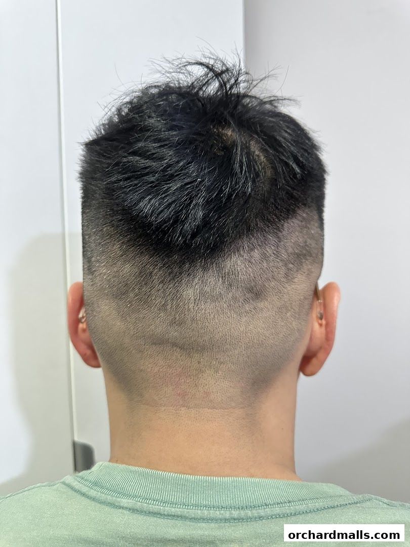 Back view of a person with a fresh fade haircut and styled top.