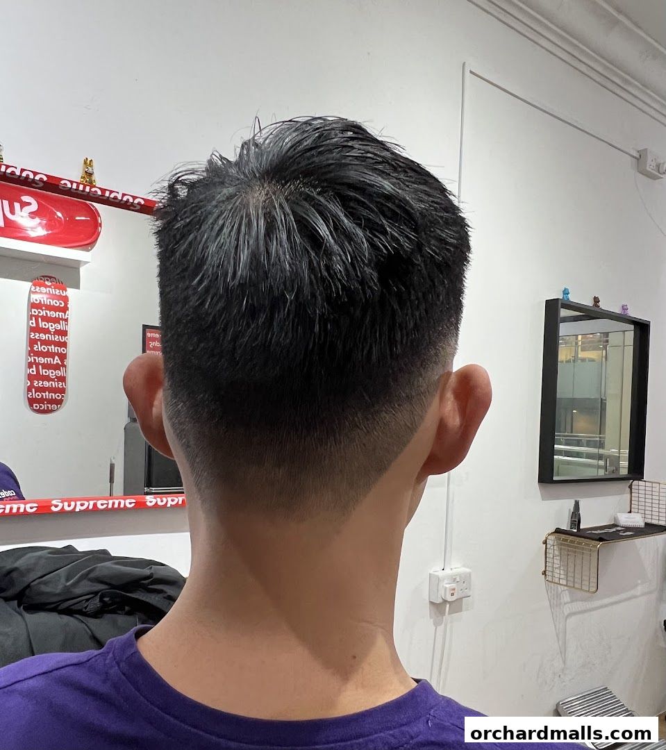 A close-up view of a man's freshly cut hair from behind at Holy Grail Barbershop.