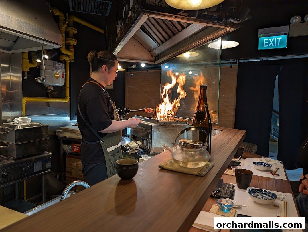 A chef cooks skewers over an open flame at a Japanese izakaya counter.