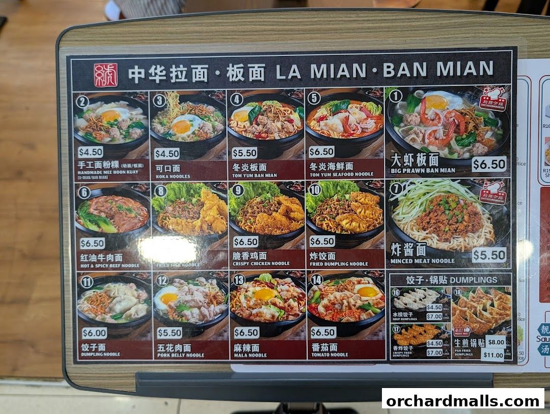 Hong Hu Express 红虎饺子坊  中华拉面