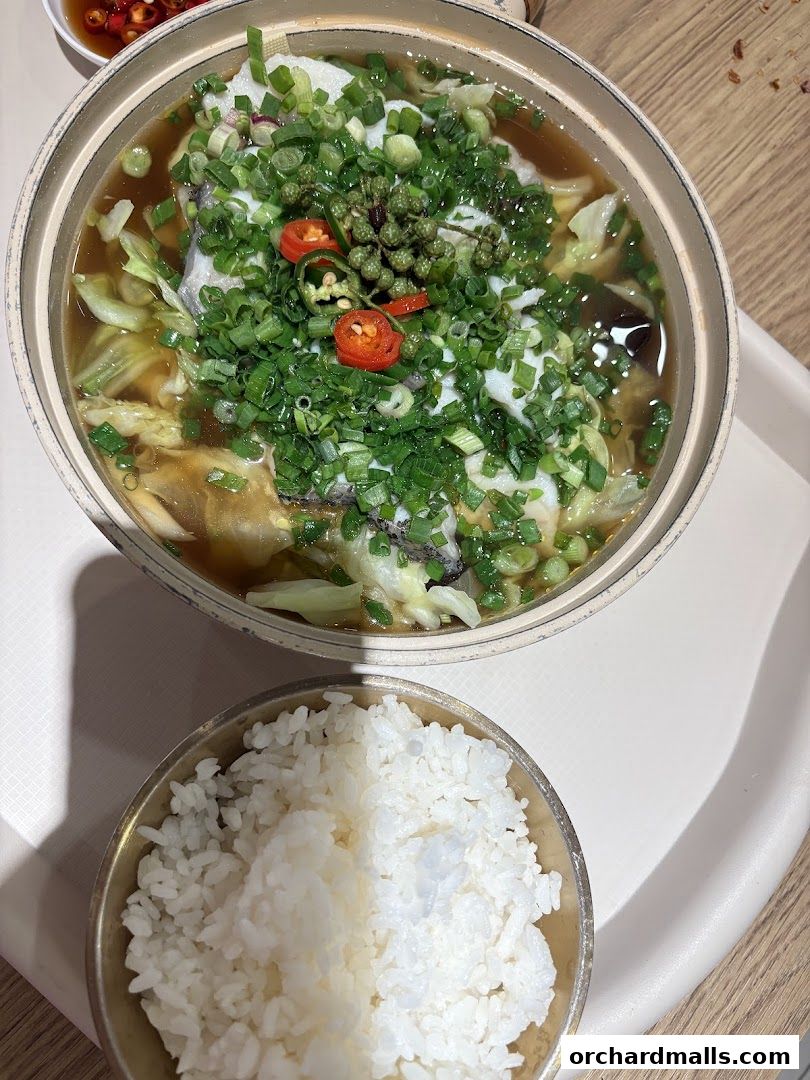 紅炉酸菜鱼 Hong Lu Sauerkraut Fish