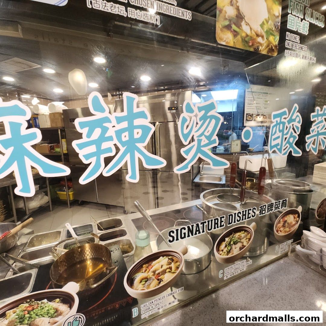 紅炉酸菜鱼 Hong Lu Sauerkraut Fish