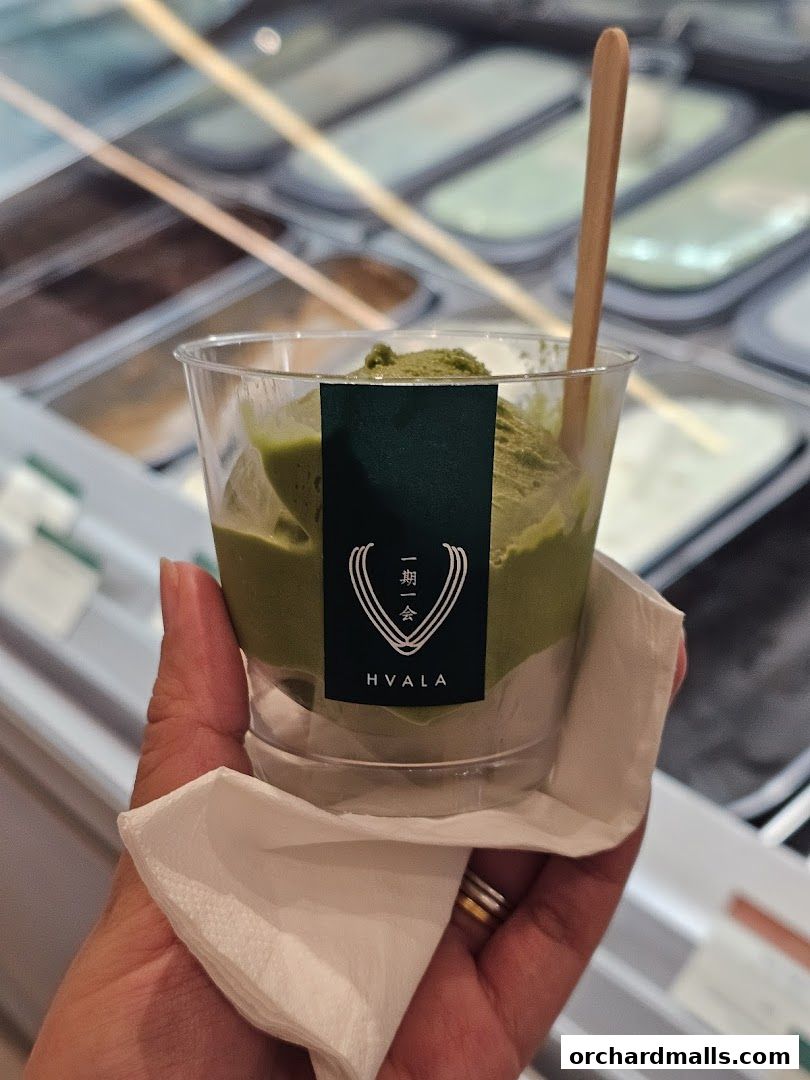 A hand holds a cup of matcha ice cream with a wooden spoon.