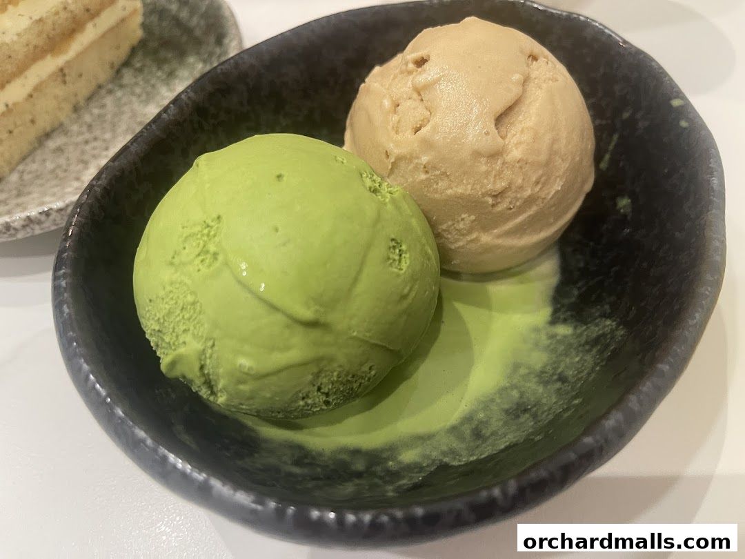 Two scoops of ice cream, one matcha and one caramel, in a black bowl.
