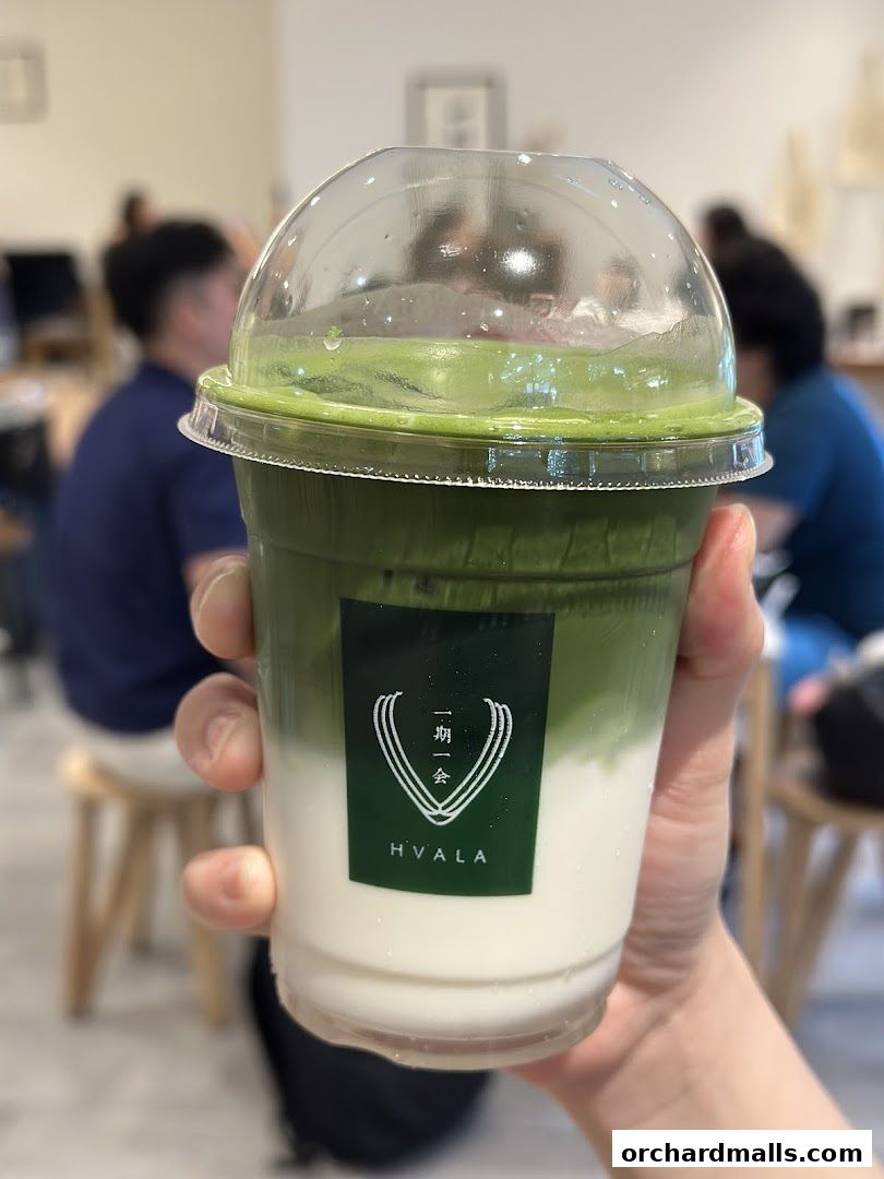 A hand holds a layered matcha drink with the Hvala logo.