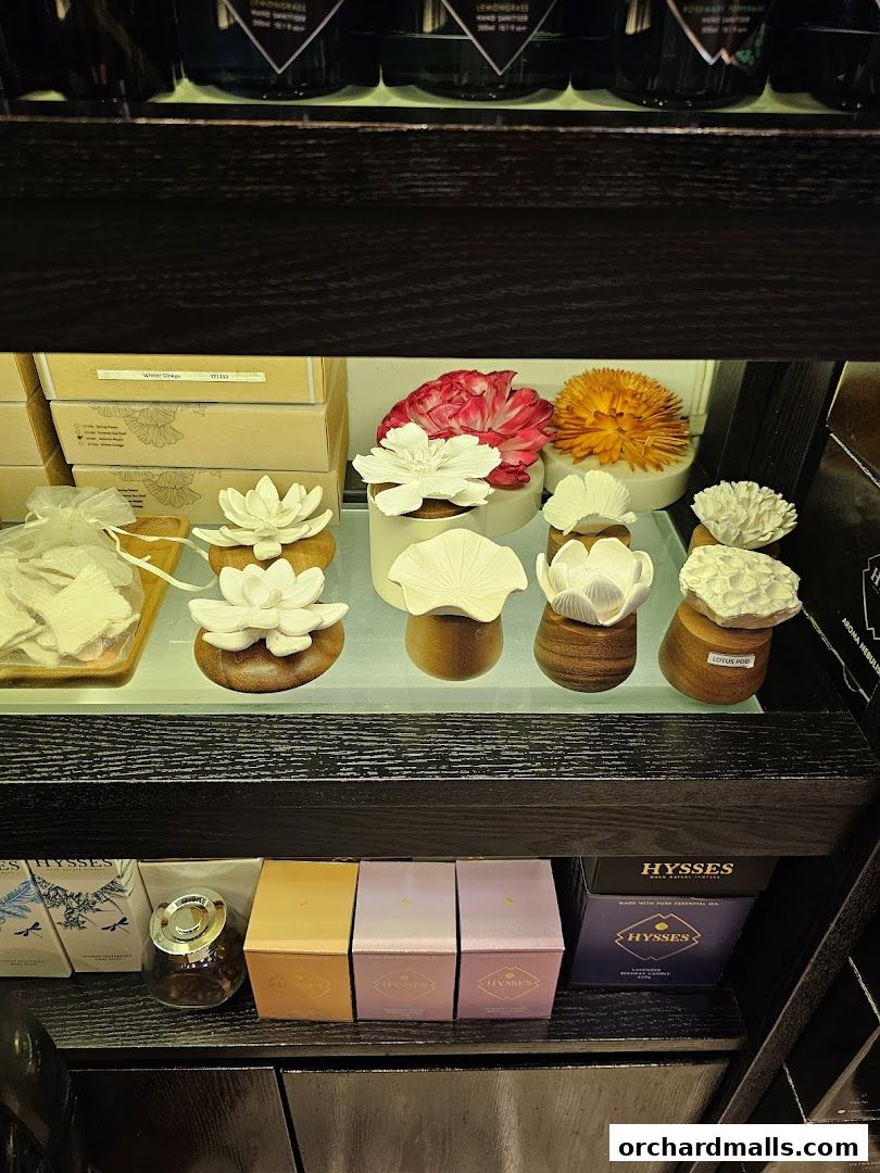 A display shelf showcasing various aromatherapy essential oil diffusers and packaged products.