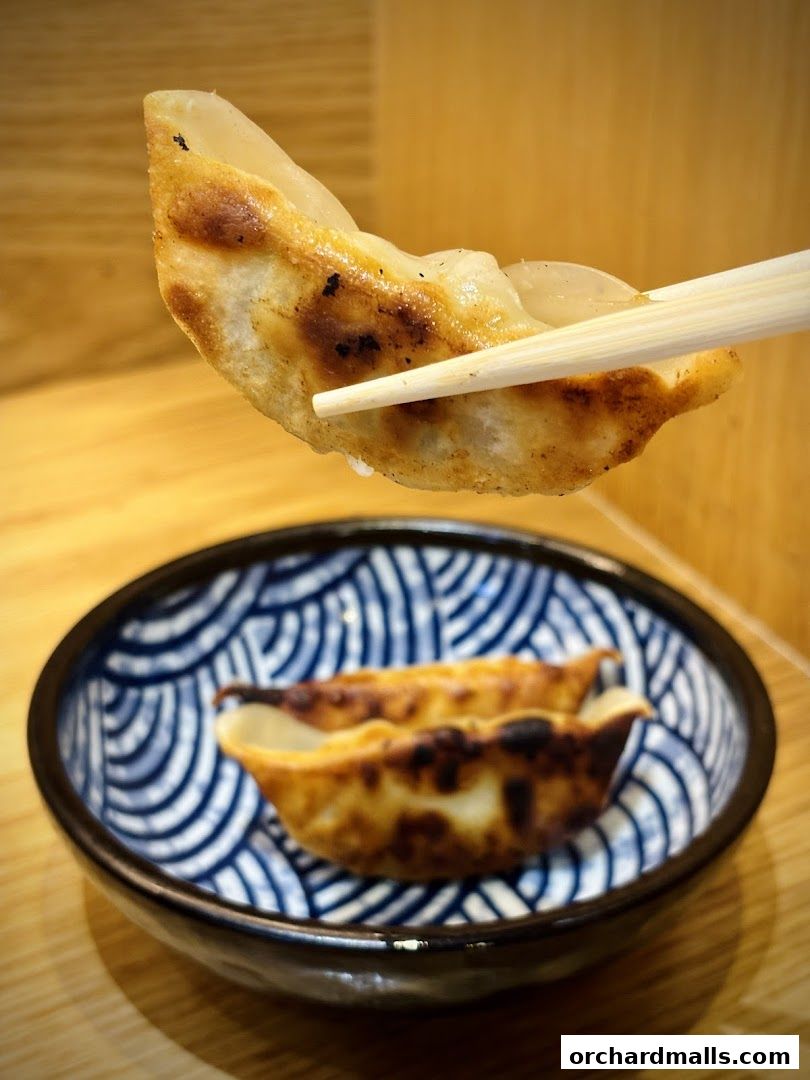 Ichikokudo Hokkaido Ramen