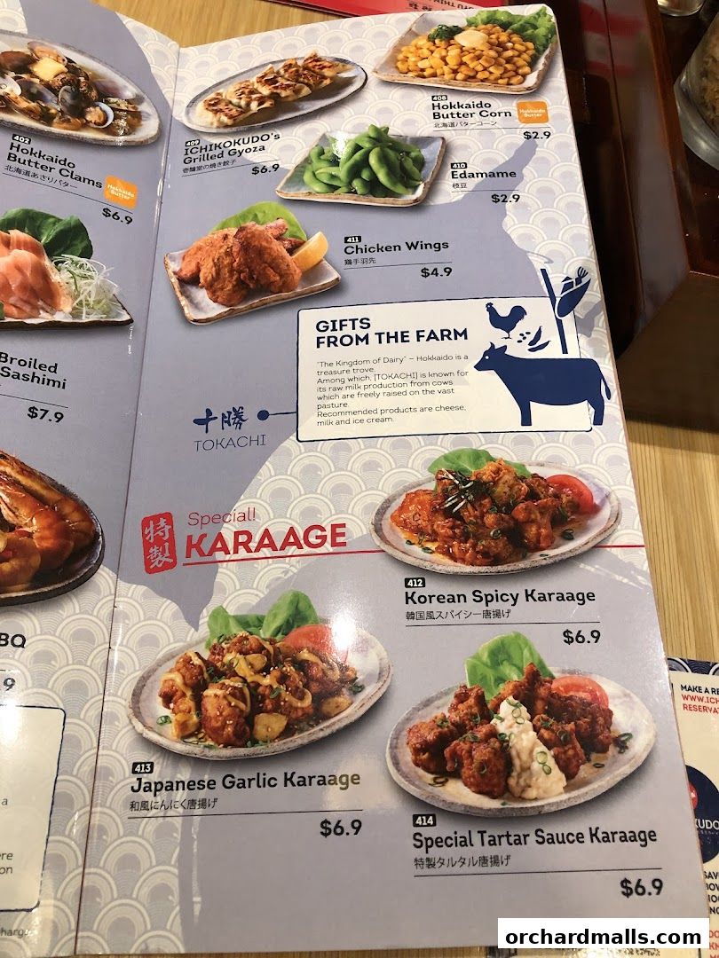 Menu page for Ichikokudo Hokkaido Ramen