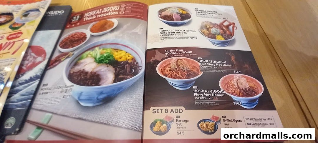 Menu page for Ichikokudo Hokkaido Ramen