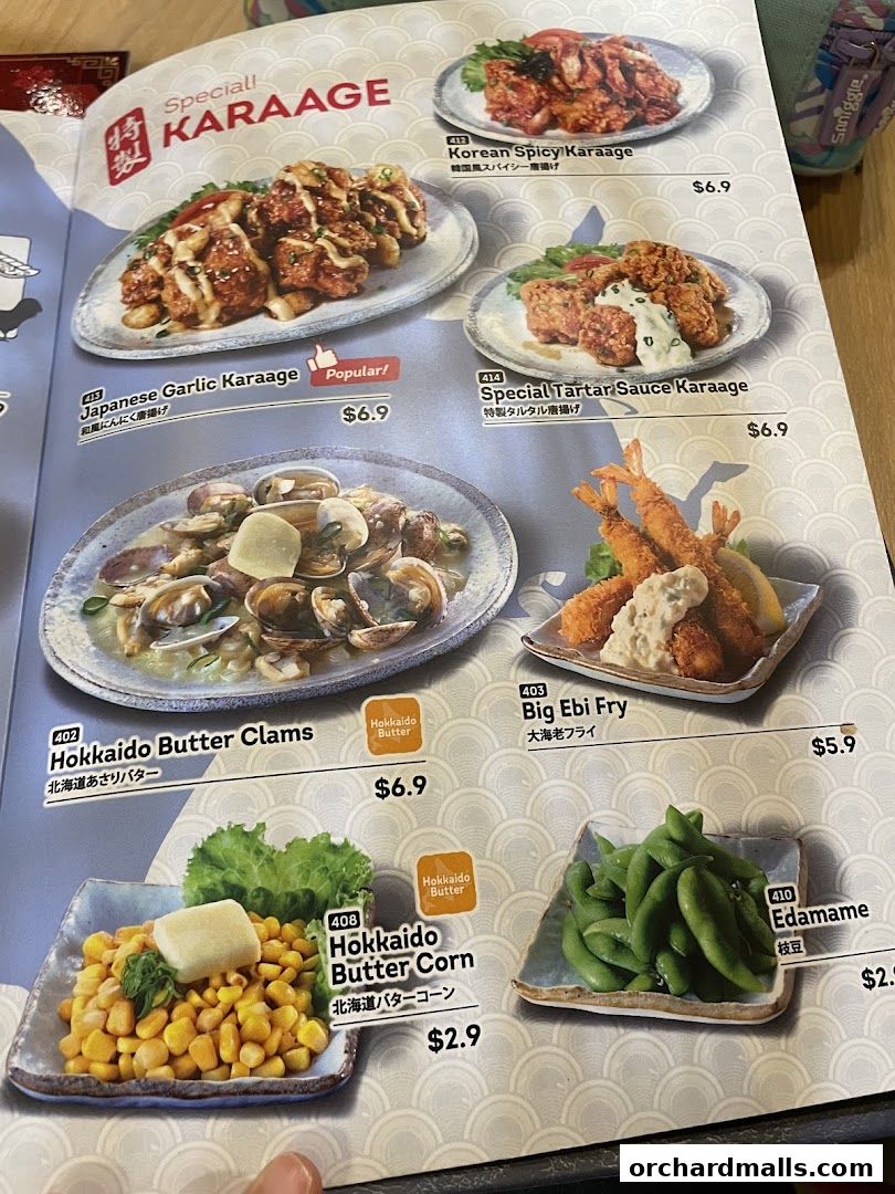 Menu page for Ichikokudo Hokkaido Ramen