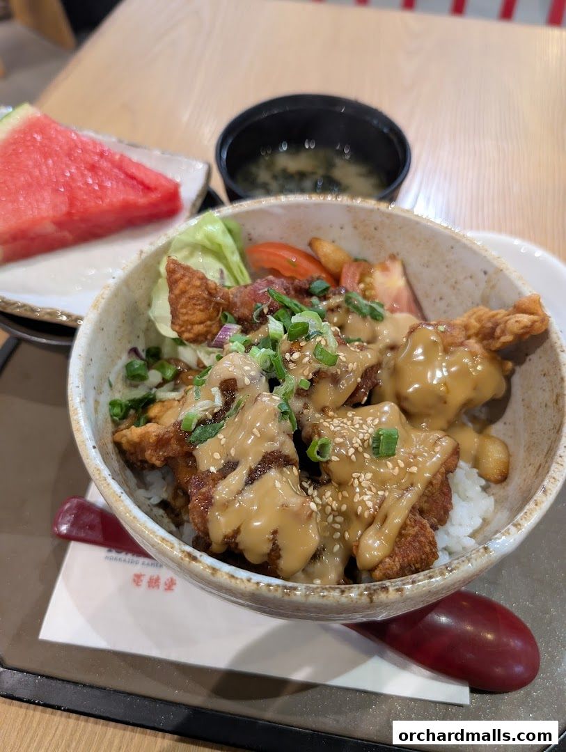 Ichikokudo Hokkaido Ramen