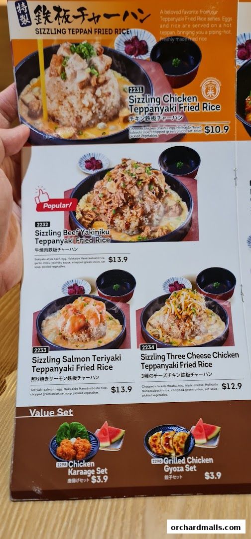 Menu page for Ichikokudo Hokkaido Ramen