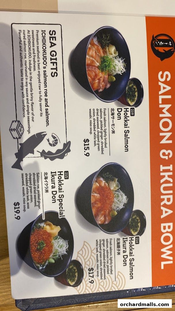 Menu page for Ichikokudo Hokkaido Ramen