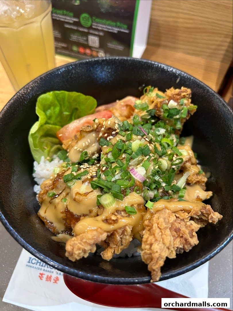 Ichikokudo Hokkaido Ramen