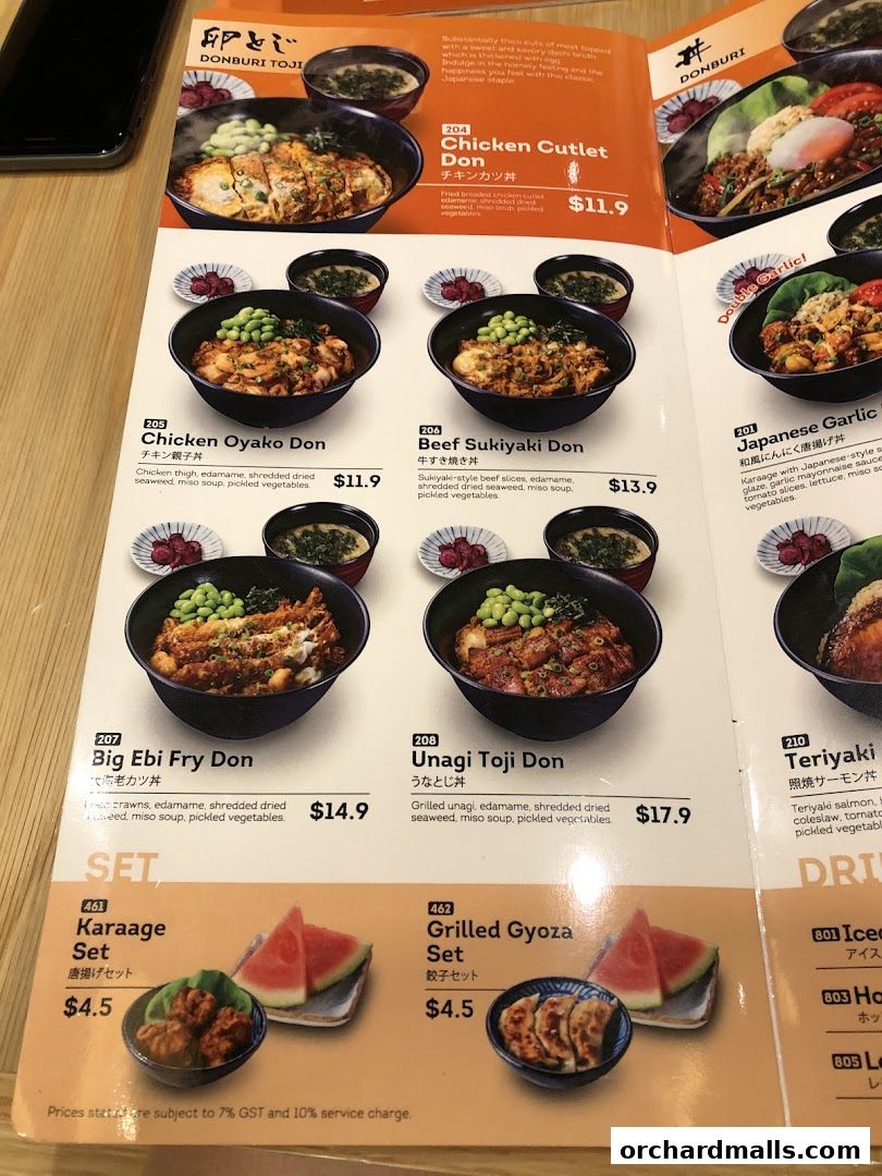 Menu page for Ichikokudo Hokkaido Ramen