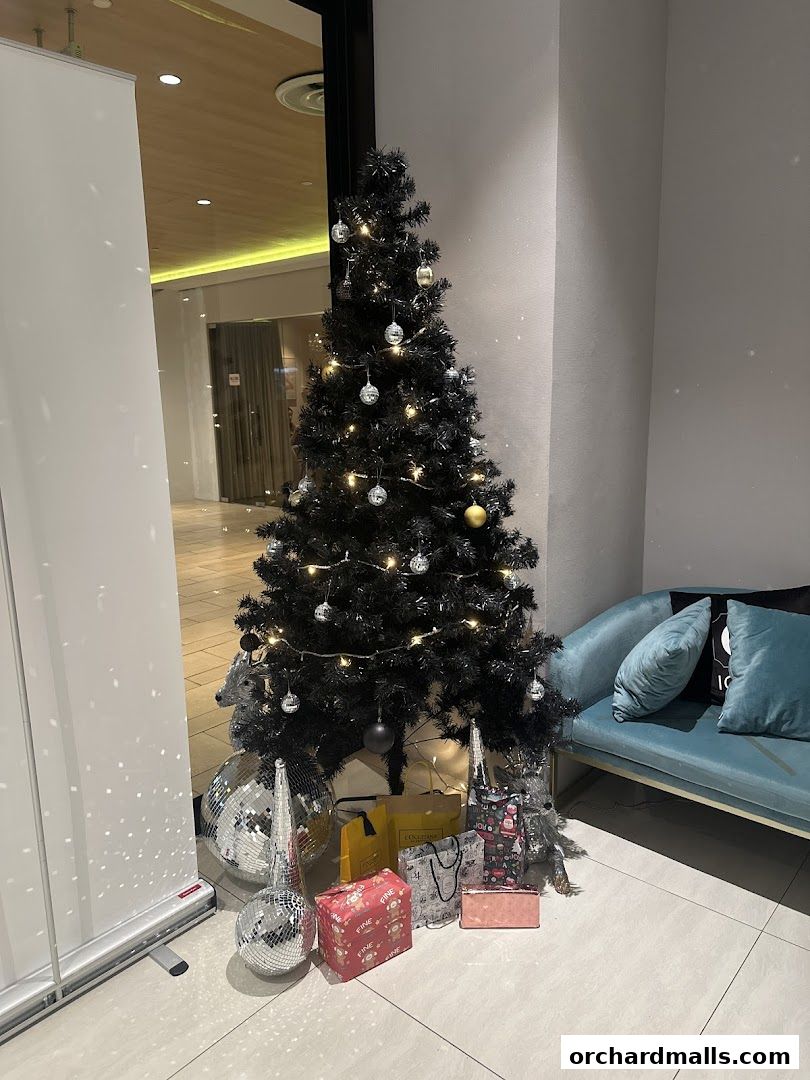 ICON Aesthetics - Orchard