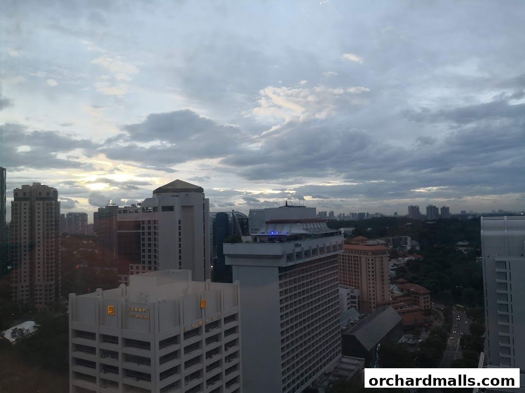 Ikoma Language School