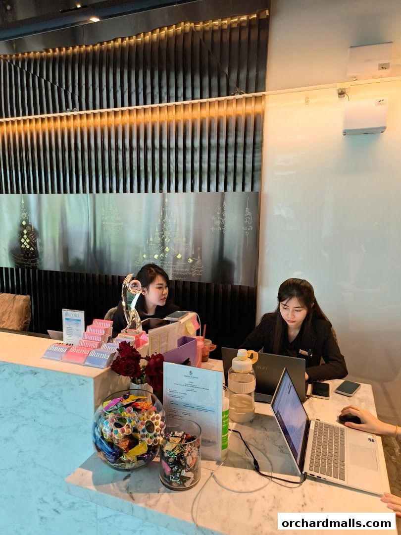 Two receptionists at a counter in a modern spa, with decorative elements and laptops.
