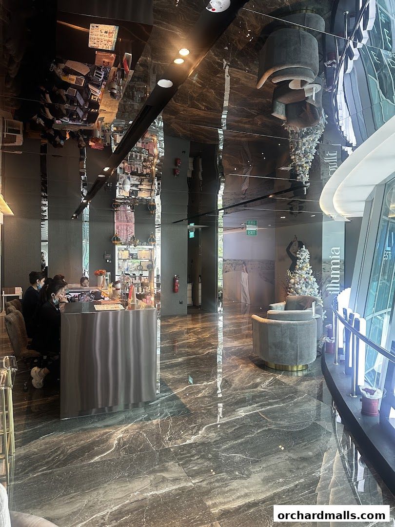 Interior of a luxurious medical spa with a reception desk, seating area, and decorative elements.