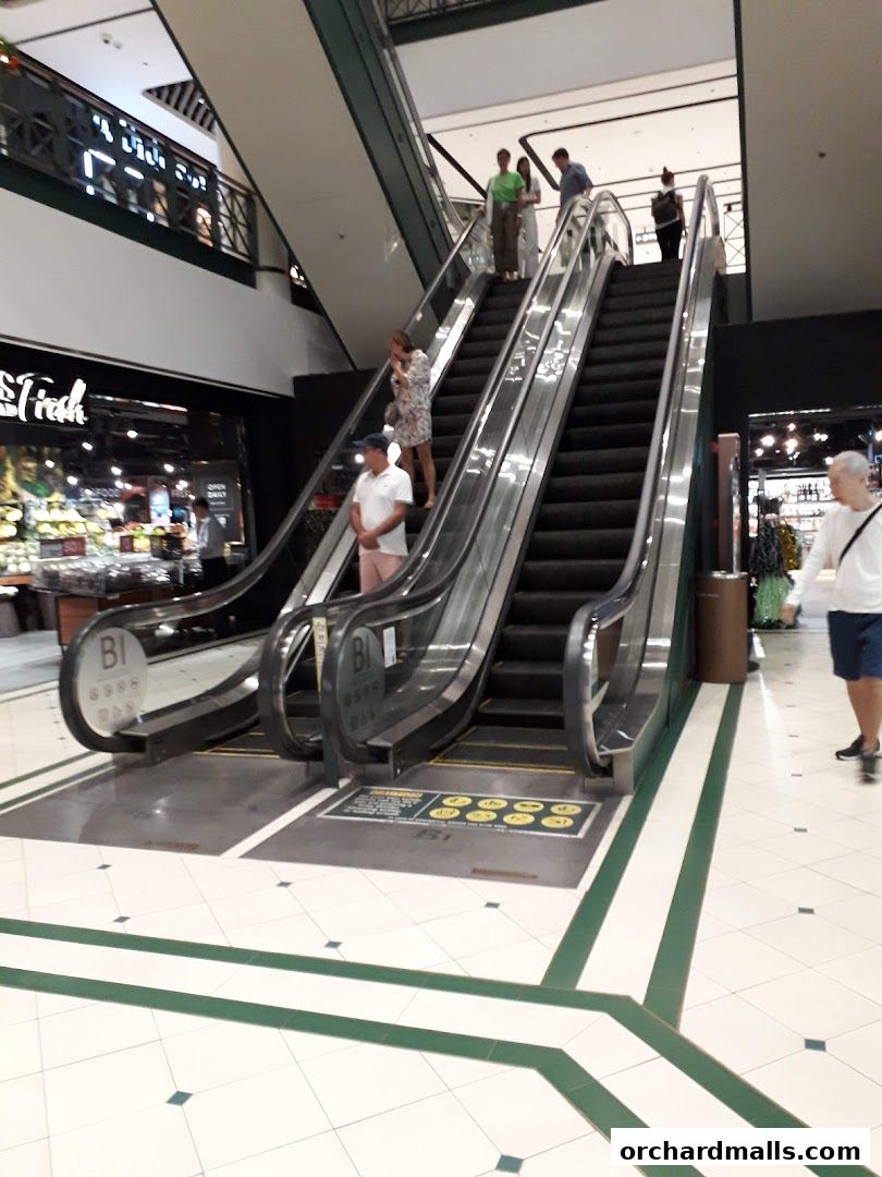 Imayo Singapore Pte Ltd