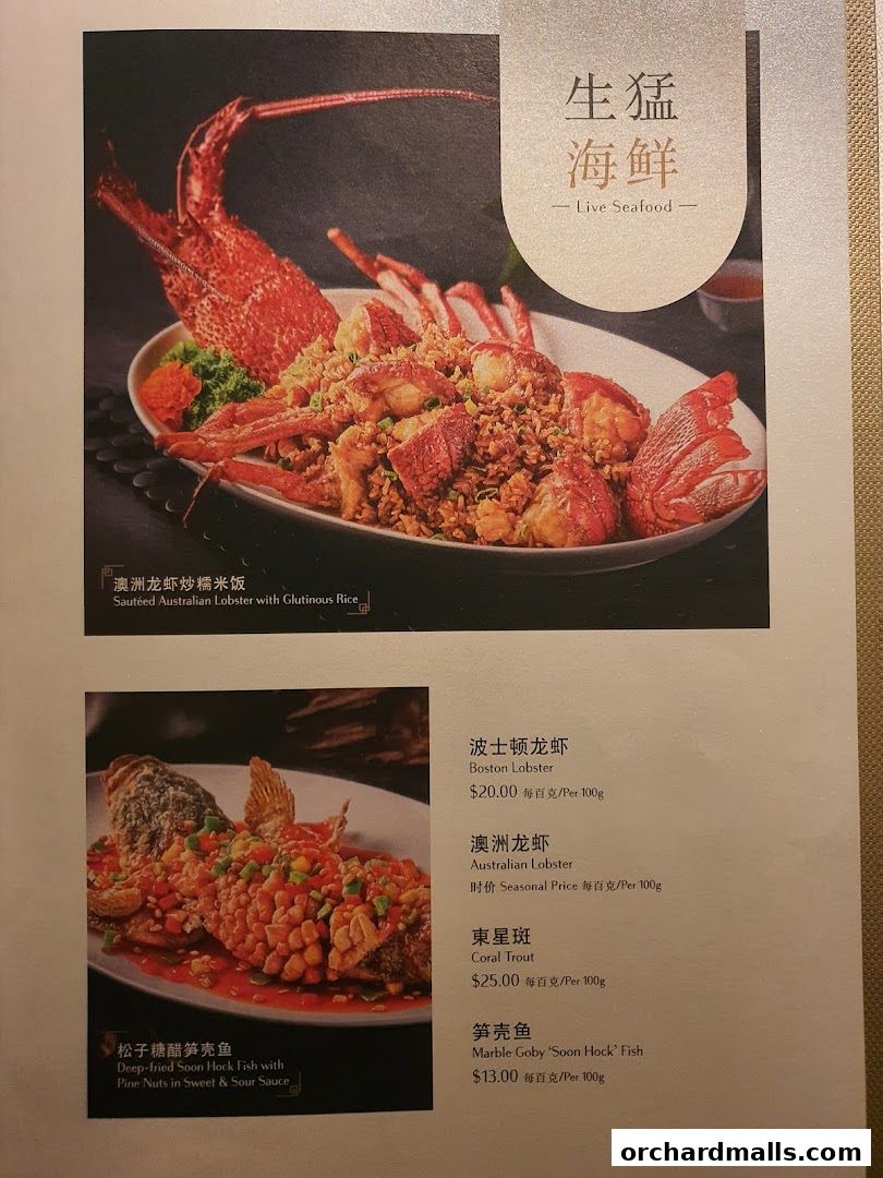 A menu page showcasing premium seafood dishes like lobster and fish with prices.