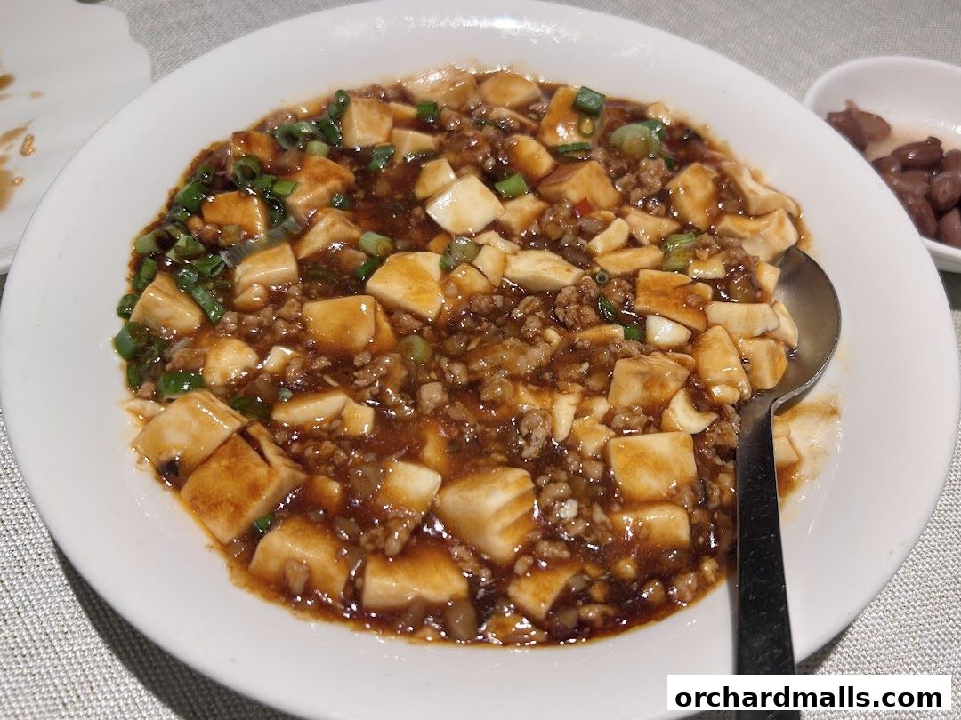 A close-up shot of a delicious bowl of Mapo Tofu, a classic Sichuan dish.