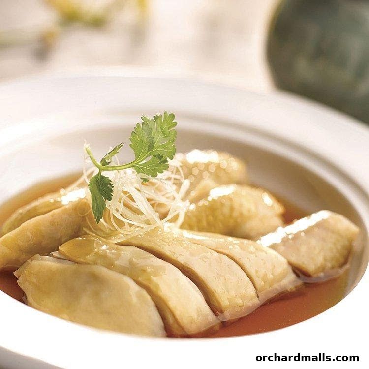 A close-up of sliced chicken dish with broth, garnished with herbs and shredded vegetables.
