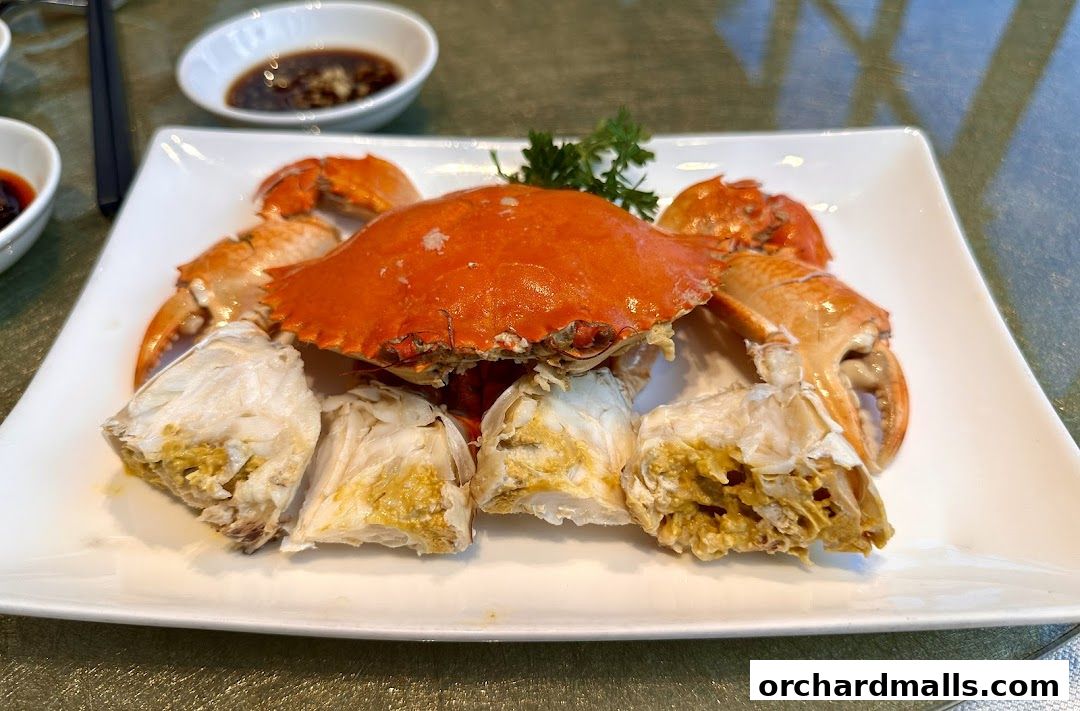 A whole steamed crab, expertly prepared and presented on a white plate with dipping sauce.