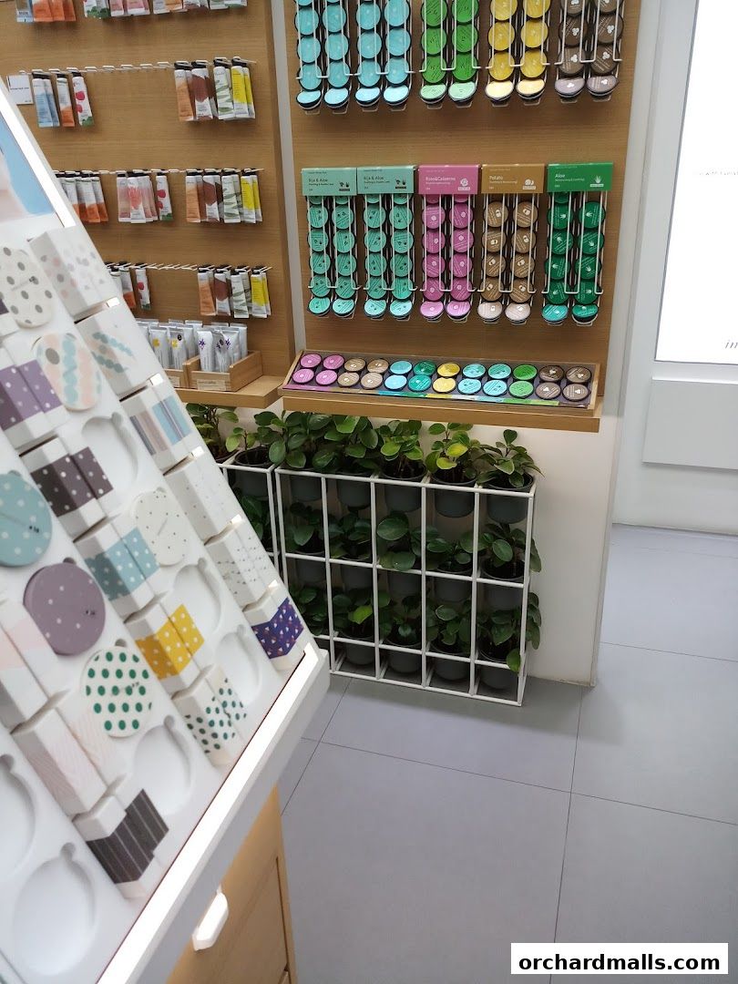 Innisfree store interior showcasing skincare products and decorative plants.