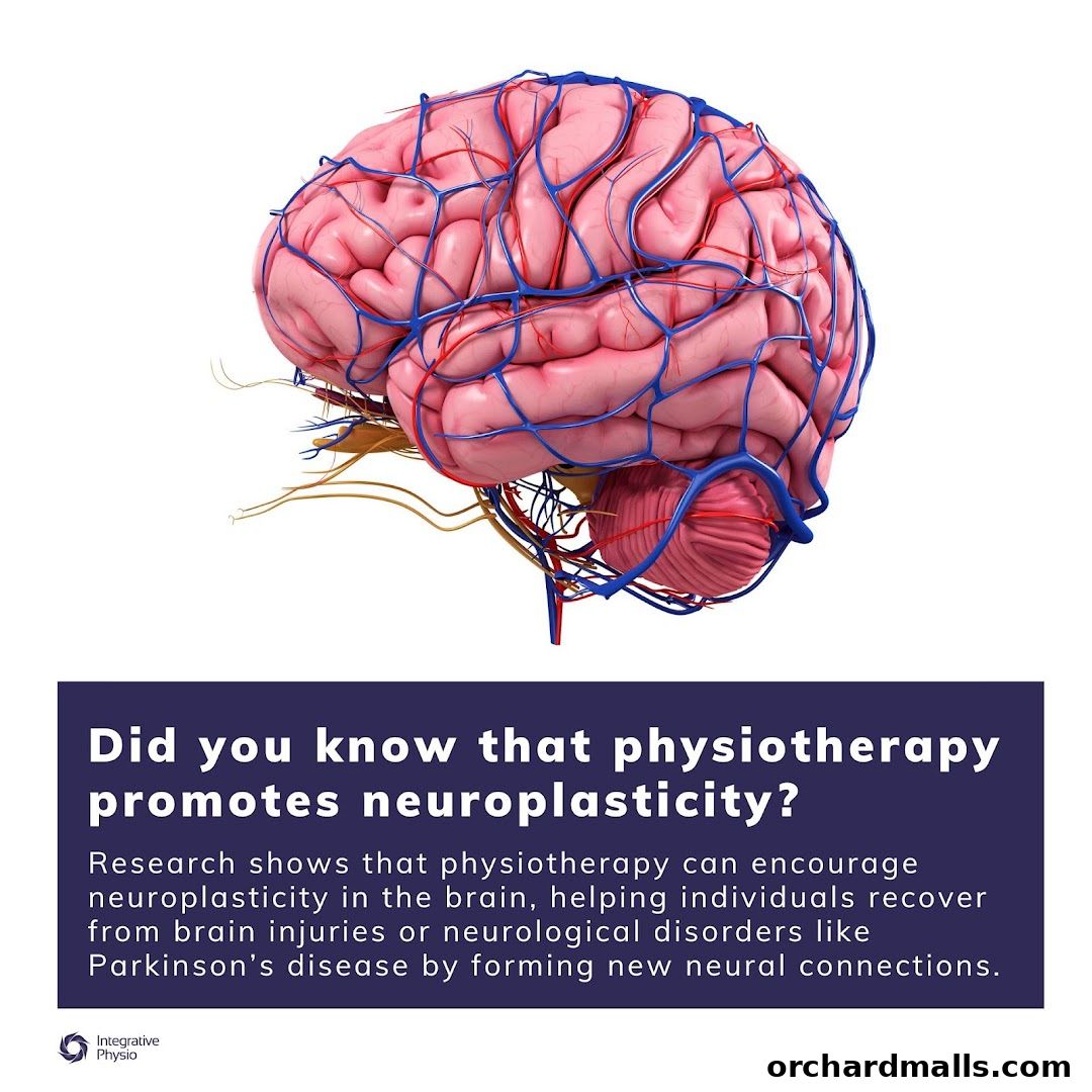Integrative Physio - Orchard