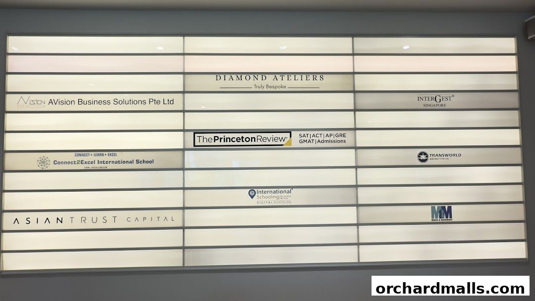 International Schooling