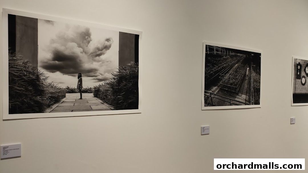 Black and white photographs displayed on a white wall in an art gallery.