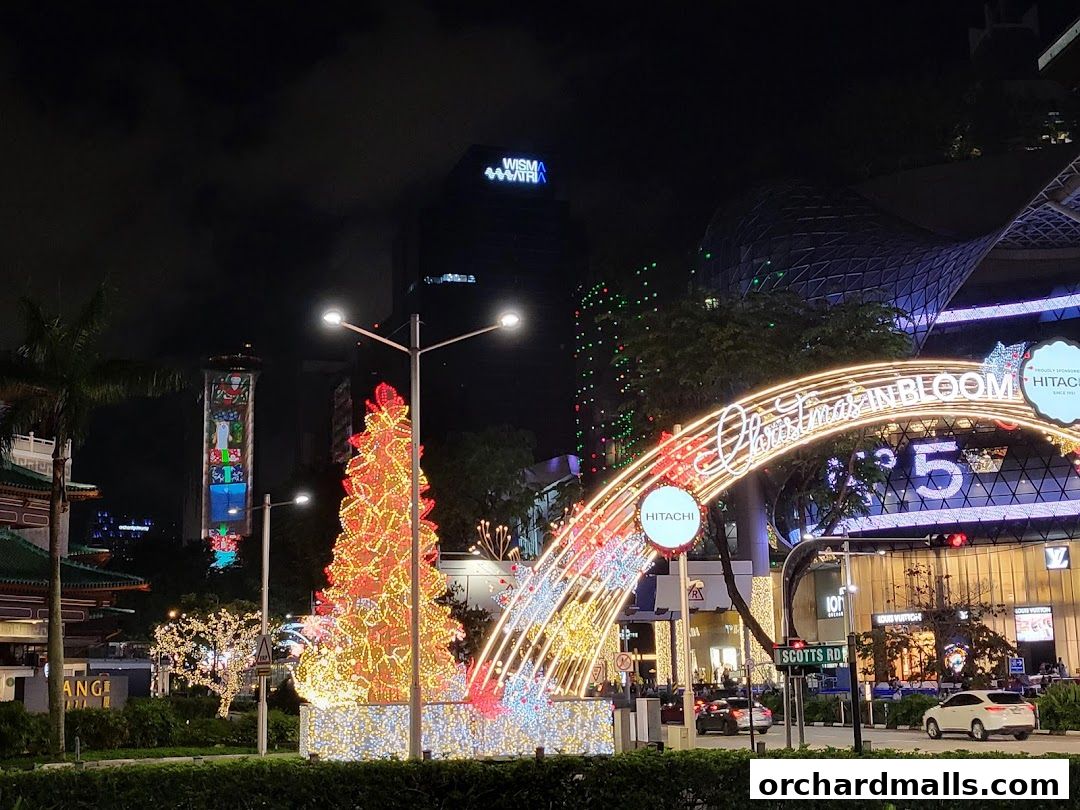A festive Christmas light display with a decorated tree and archway at night.