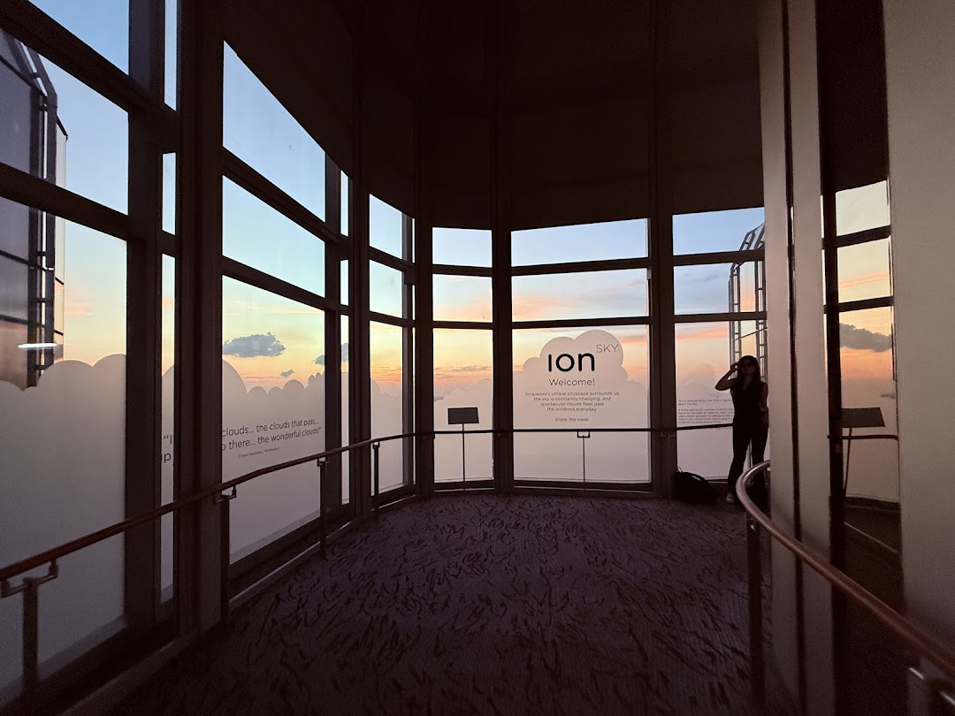 ION Sky