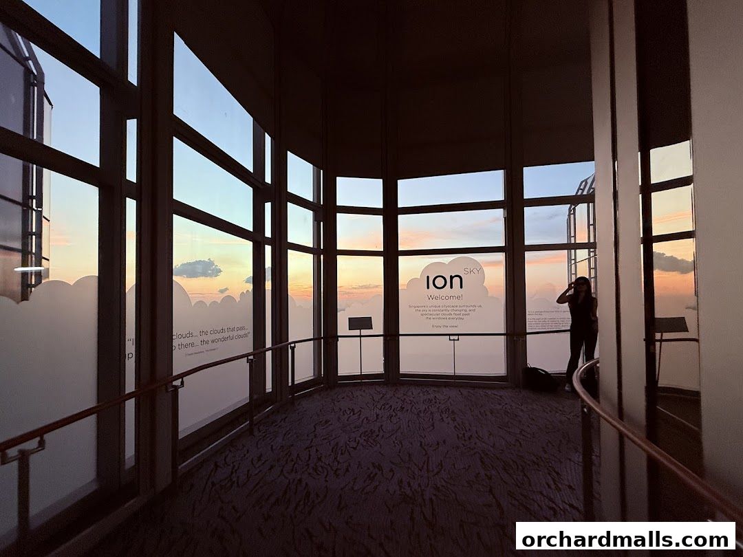 View from ION Sky observation deck with a person silhouetted against the sunset.