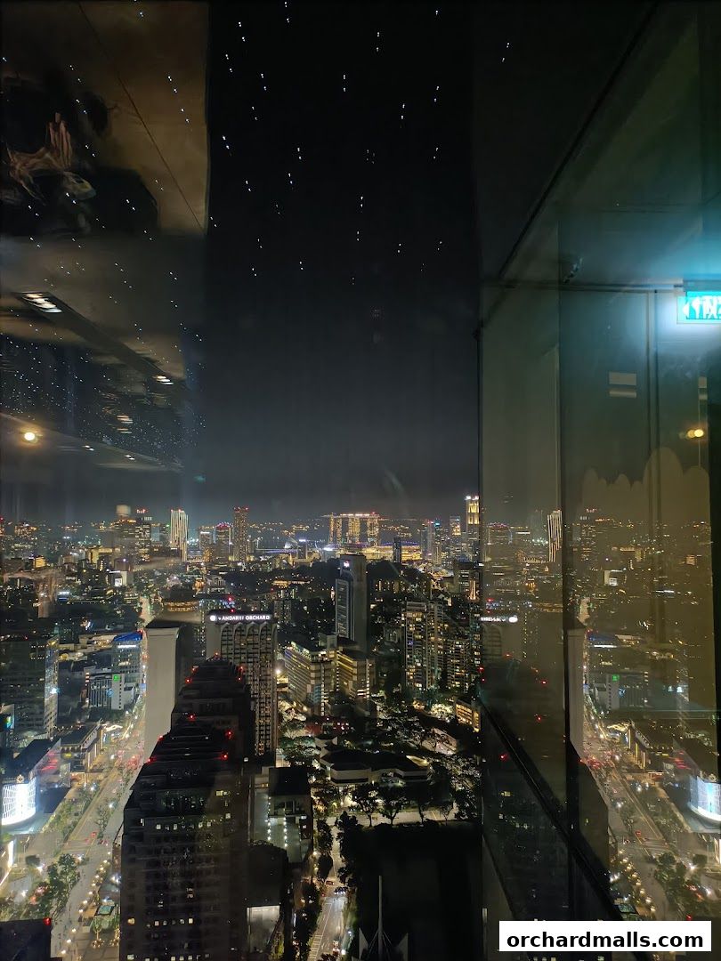 A stunning nighttime cityscape view from a high vantage point, showcasing illuminated buildings and city lights.